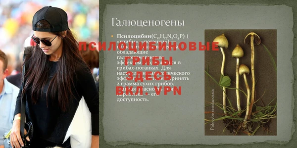 гидропоника Семёнов