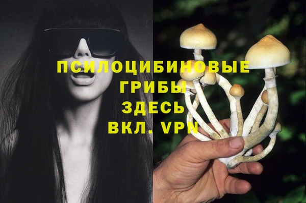 Альфа ПВП Верхнеуральск
